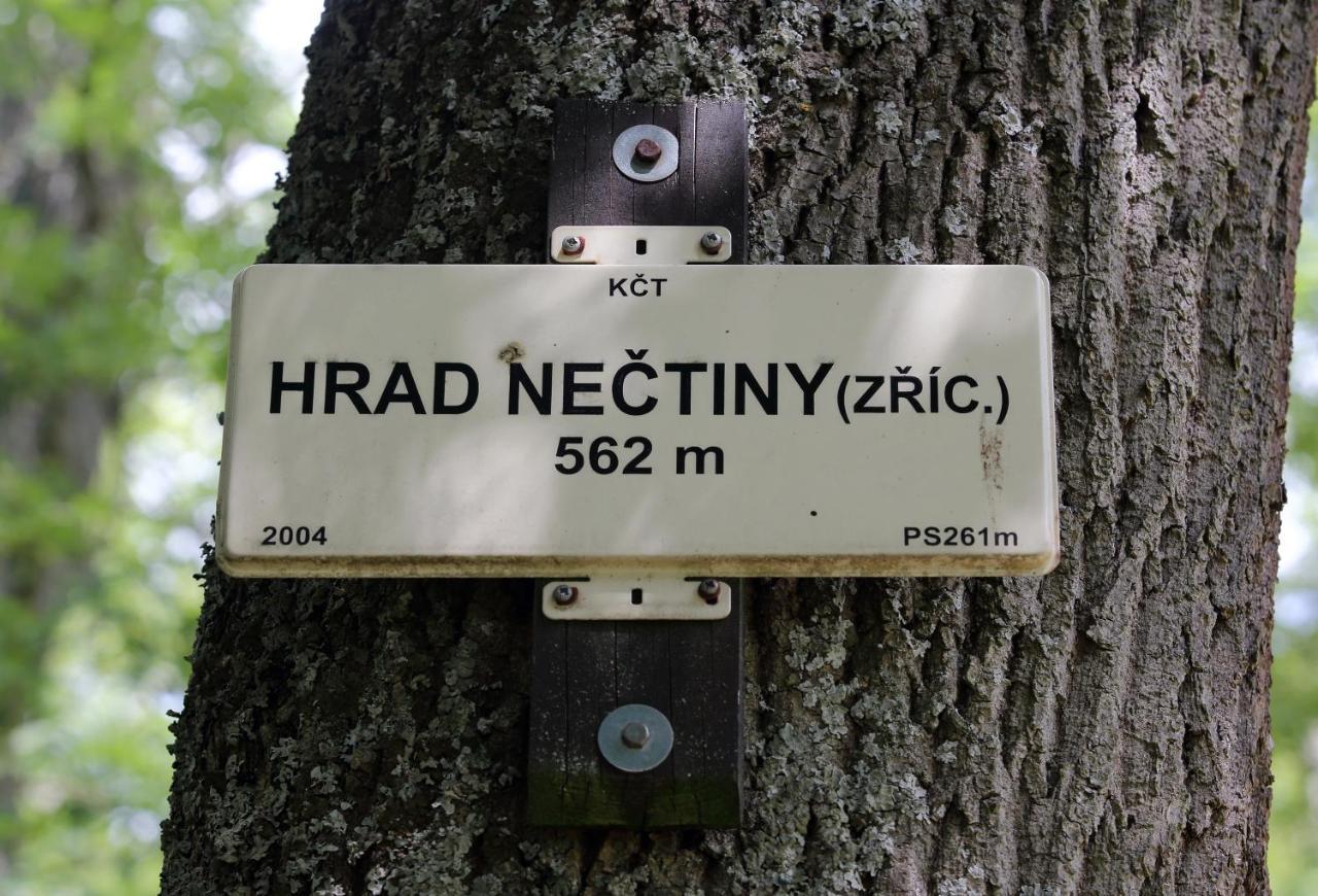 Hotel Zámek Nečtiny Esterno foto